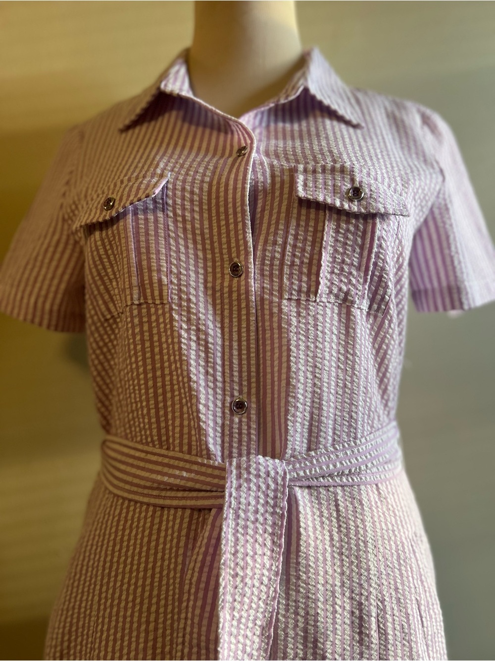 Striped Seersucker Shirt Dress - Picture 3 of 7